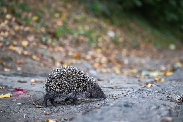 展的助力 展的助力