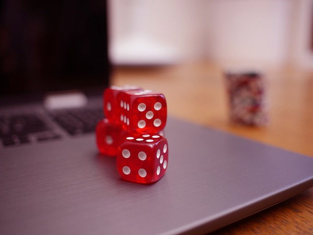 的詹金斯