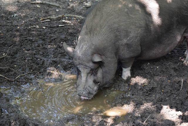 伊万下手狠，国足离队第一人揭晓，从首发到无球可踢遭遇唏嘘.