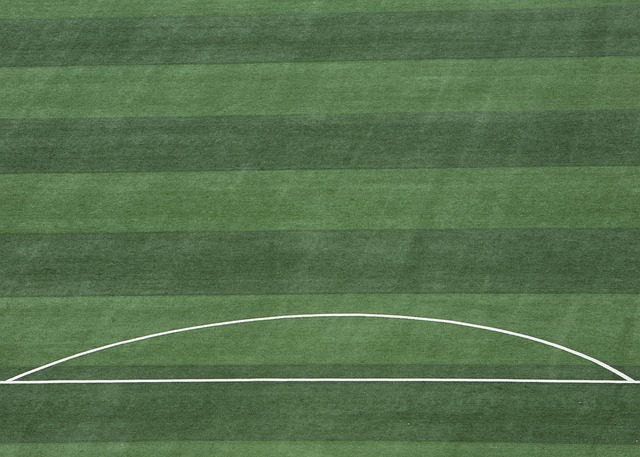 乐部展现了 乐部展现了