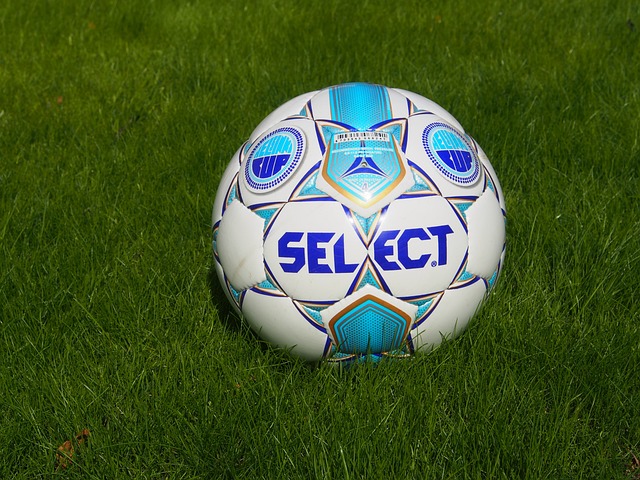 防守和组织 防守和组织