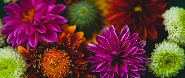 成功案例分 成功案例分