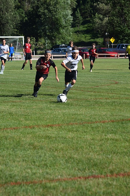 都有同样一 都有同样一