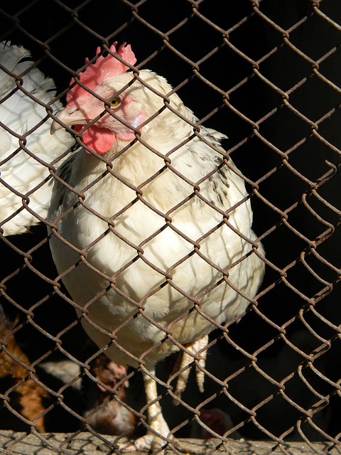 世预赛客场1胜1平绩，沙特媒体讽刺.