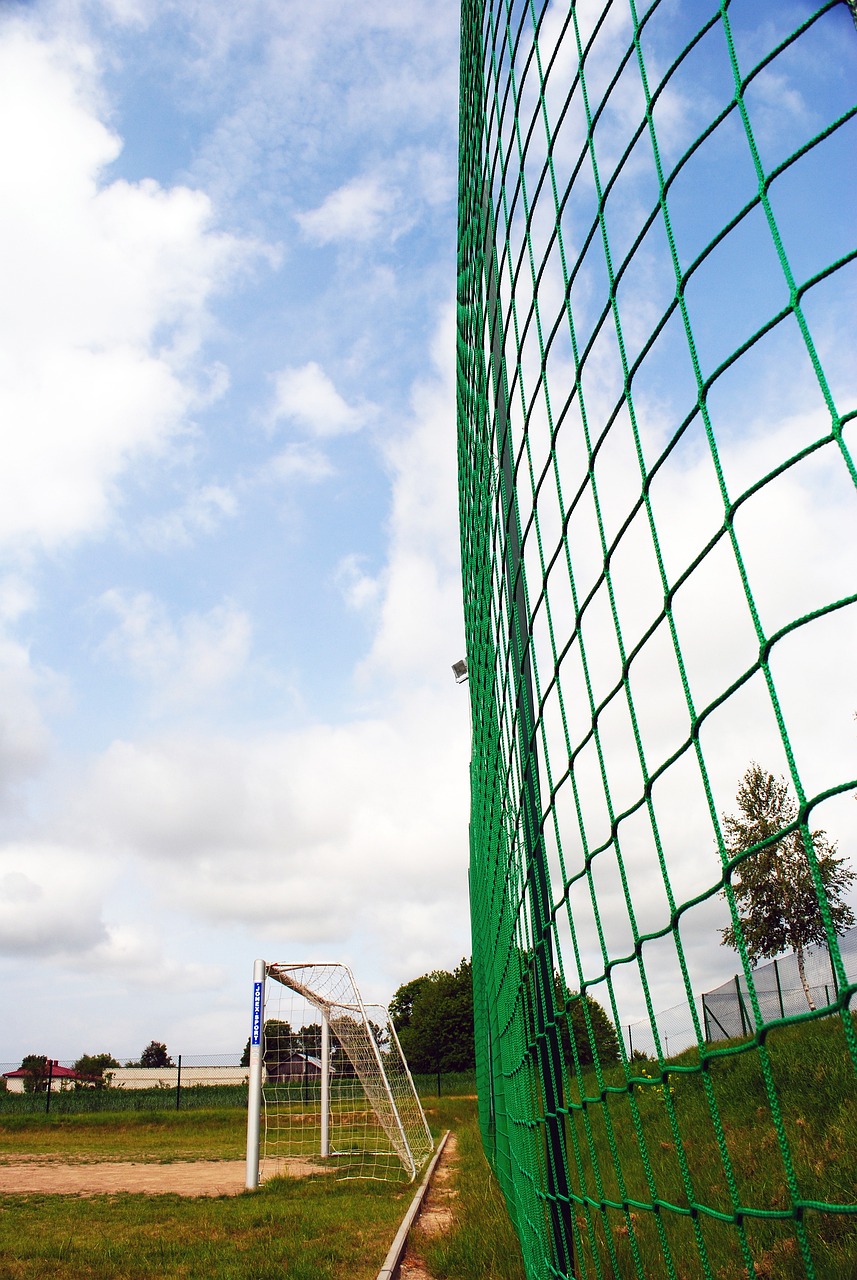 负的关键因 负的关键因