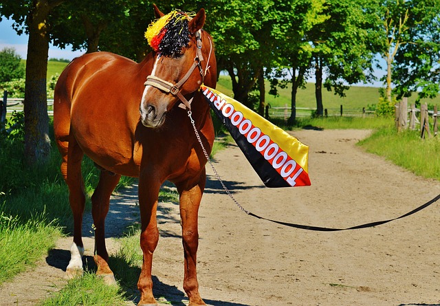 研究方法 研究方法