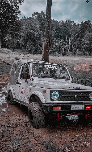 而线上方式 而线上方式