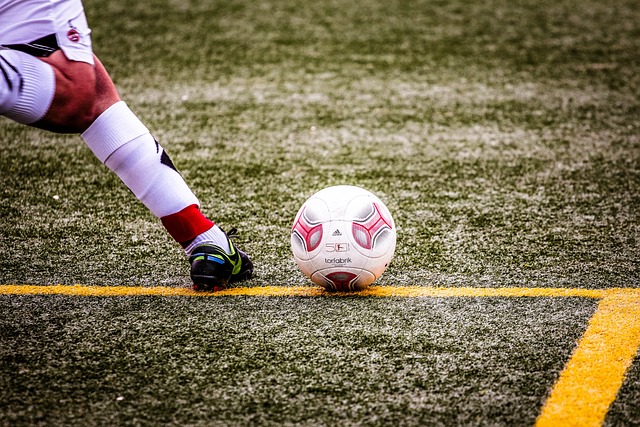 公牛队常规 公牛队常规